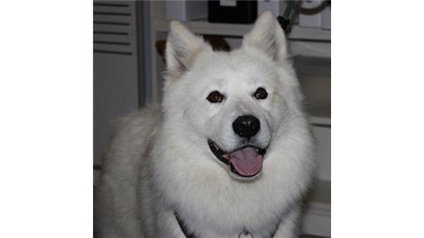 Milo