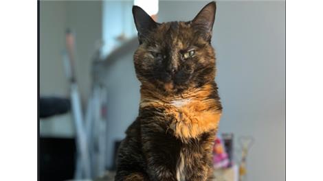 Coco