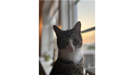 Peter