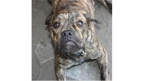 Zeus