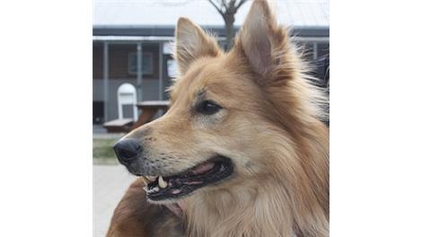 Kato