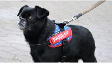Milo
