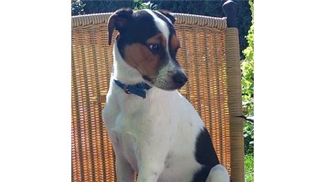 Max
