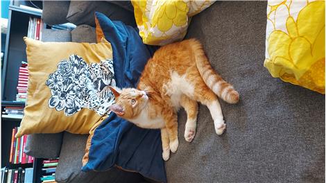 Max