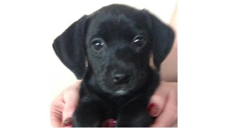 Zoey