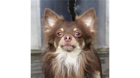 Zeus