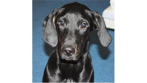 Monty