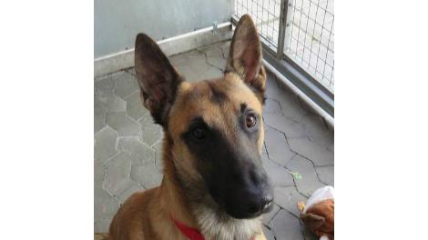 Max