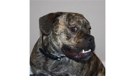 Zeus