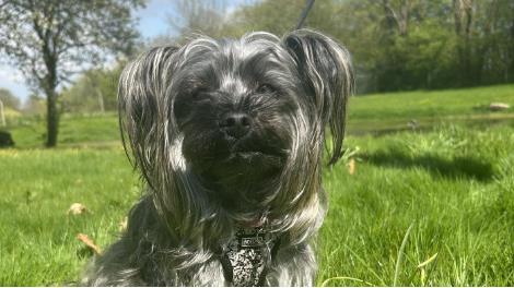 Bella