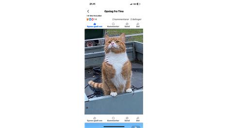 Garfield