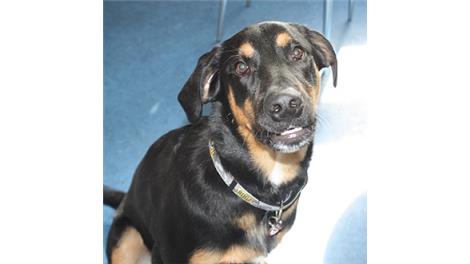 Kaiser