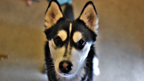 Bella
