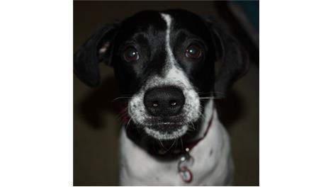 Charlie