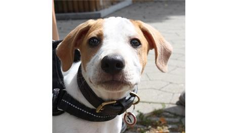 Charlie