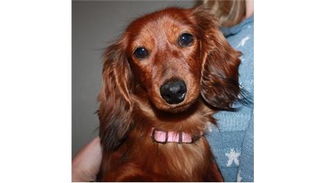 Evita