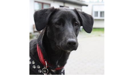 Bella