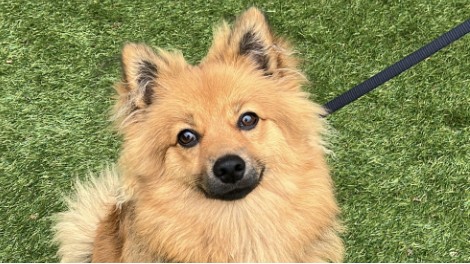 Max